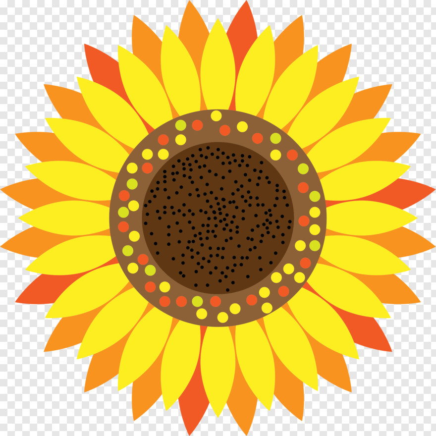 sunflower # 1000224
