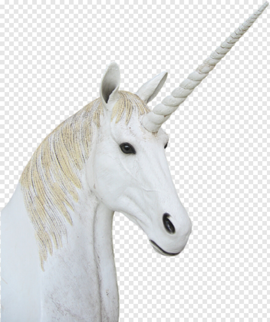 unicorn # 512894