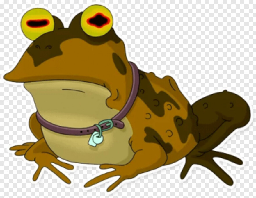 frog # 810898
