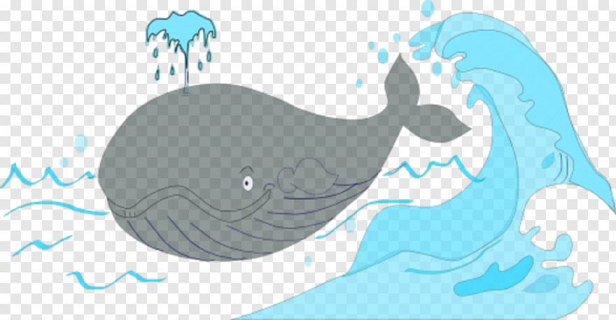 blue-whale # 831913