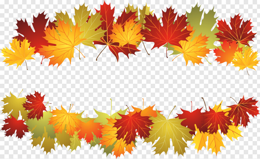 fall-leaves # 428375