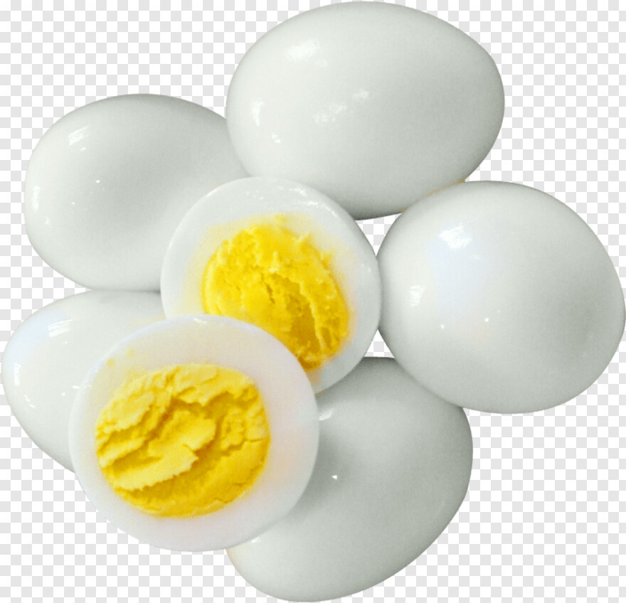 egg # 428356