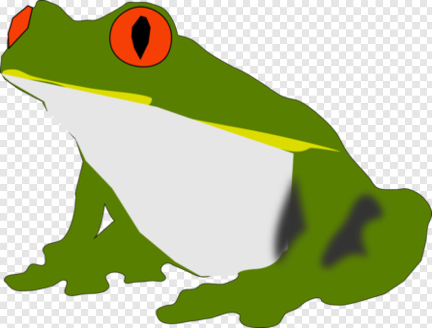 frog # 521443