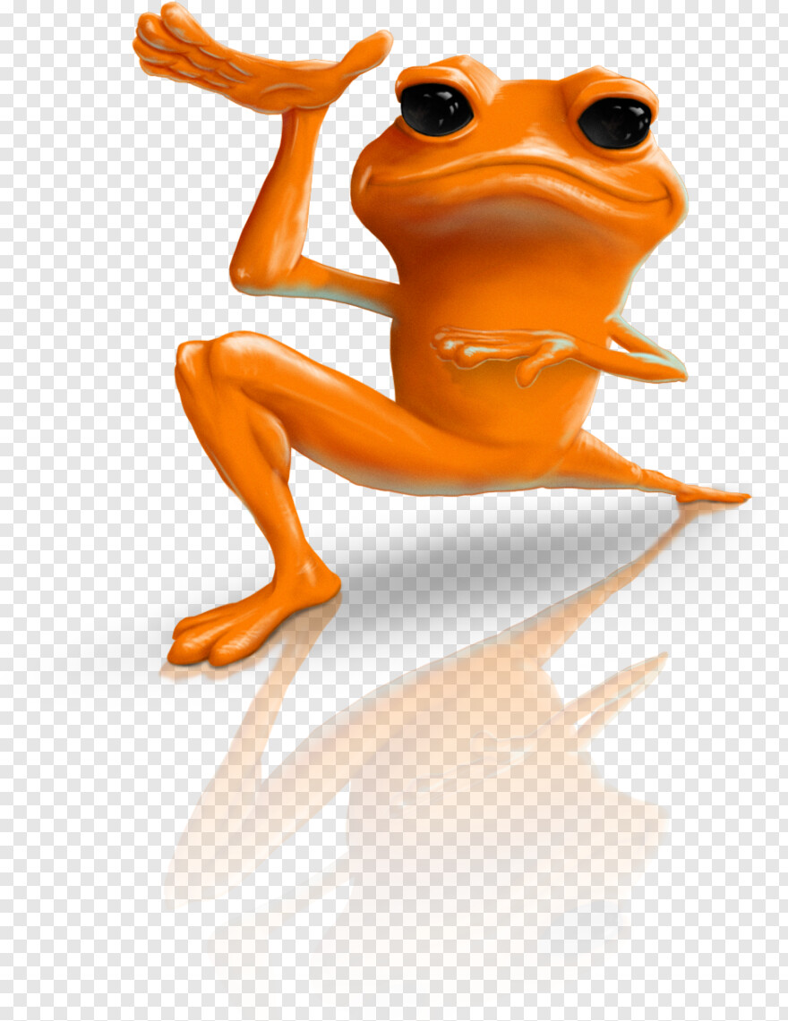 frog # 811051