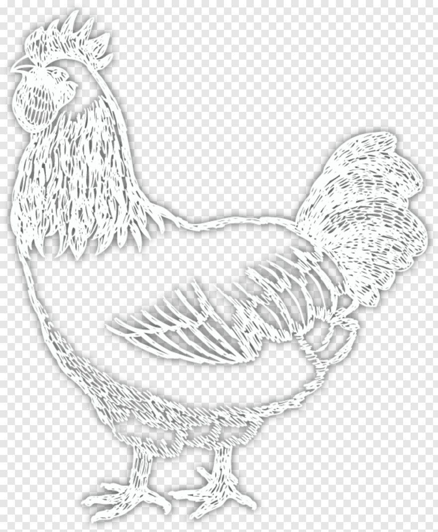 rooster # 1025637