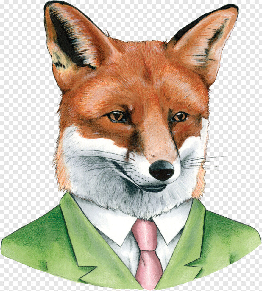 fennec-fox # 814851