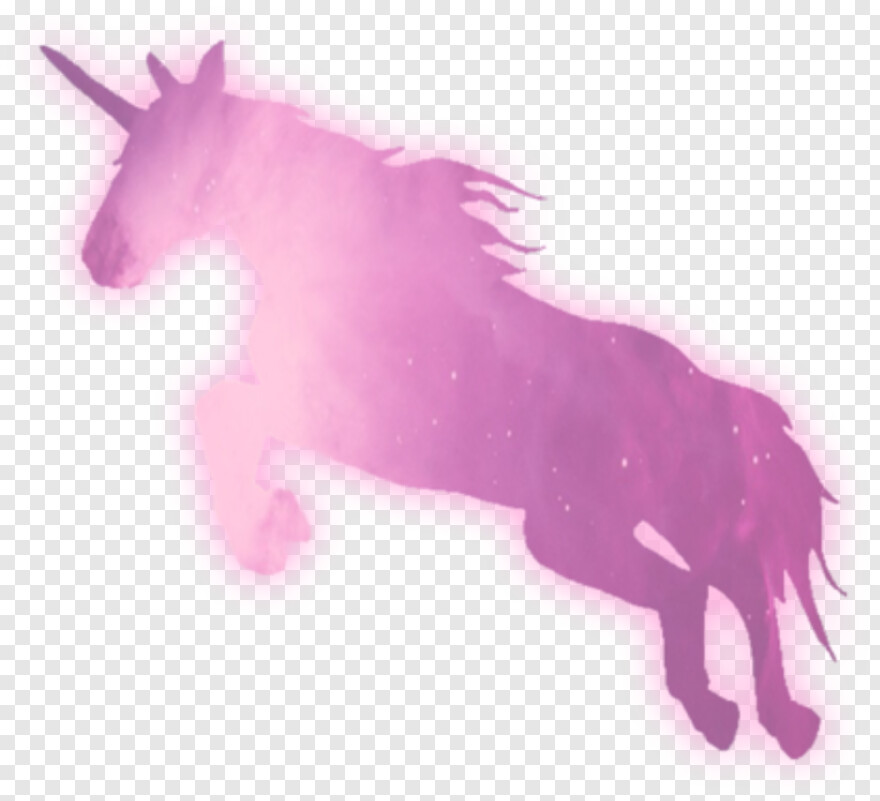 unicorn # 596425