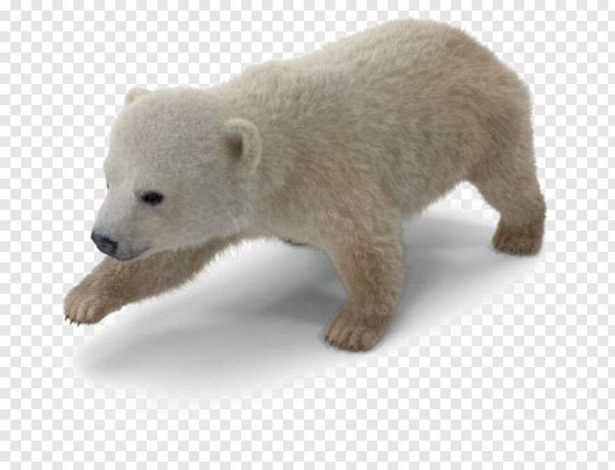 polar-bear # 388090