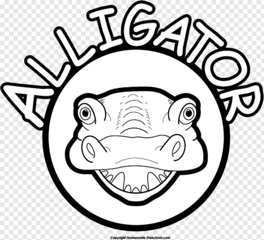 alligator # 538094