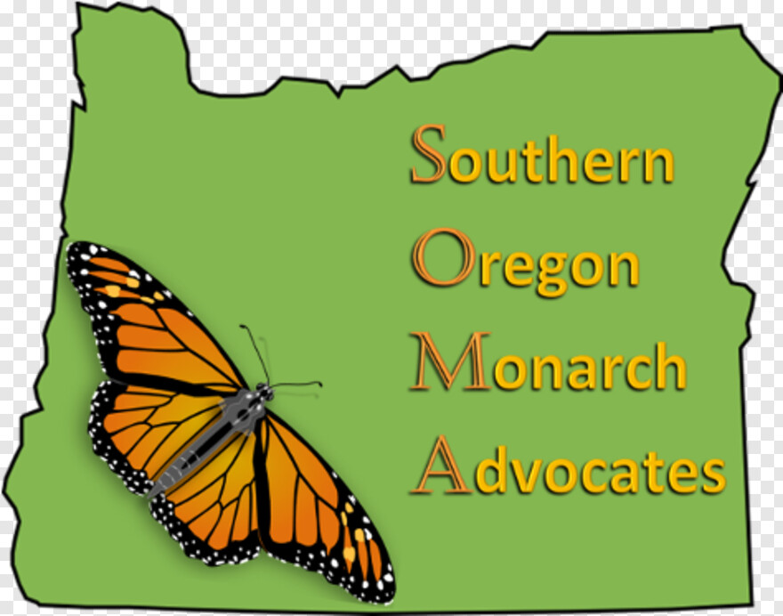 monarch-butterfly # 960843