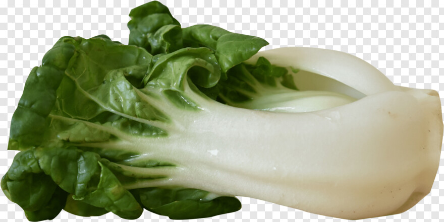 green-vegetables # 594991