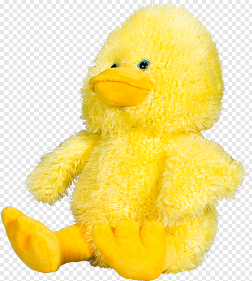 duck # 434613