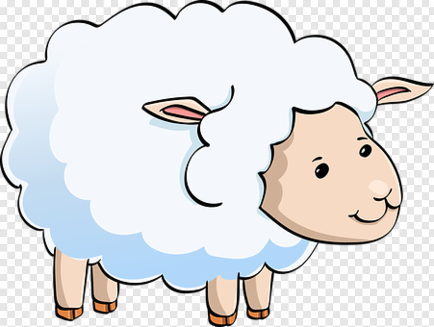 sheep # 512856