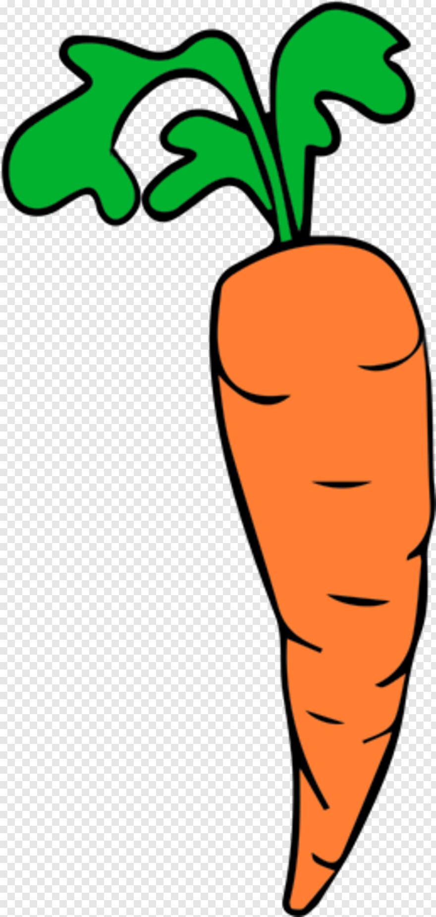 carrot # 1061190