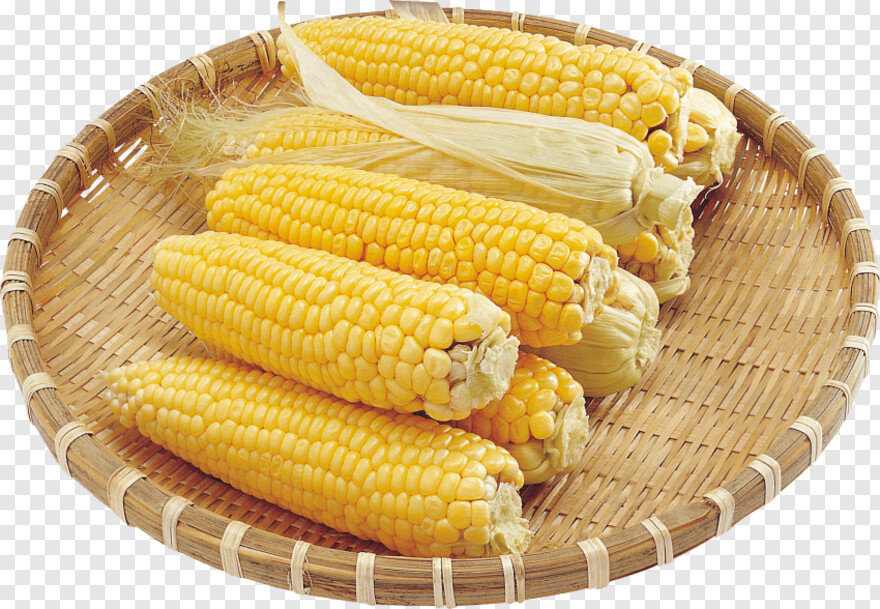 sweet-corn # 956558