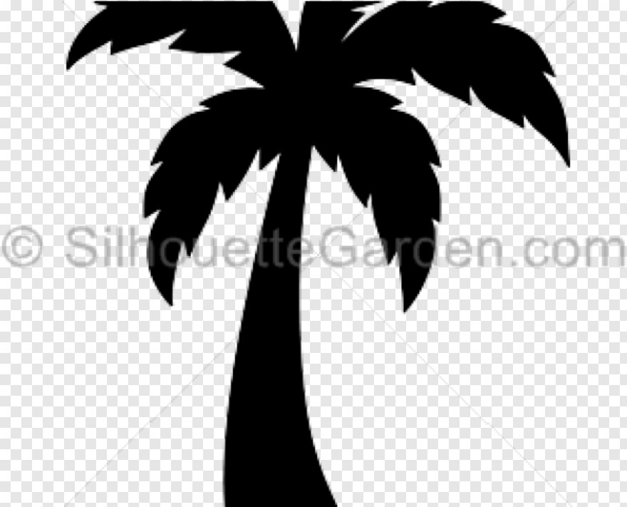palm-tree # 461471