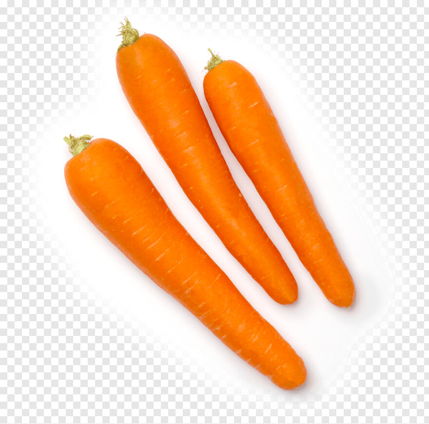carrot # 1061141