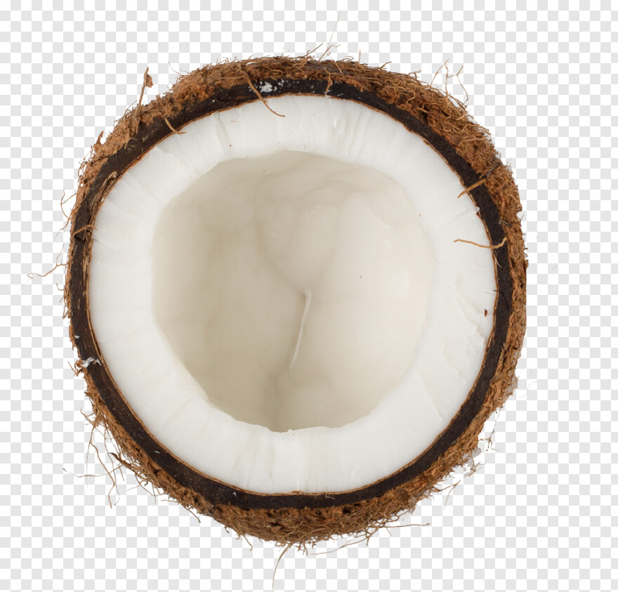 coconut # 990205