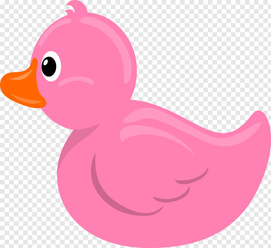 duck # 880034
