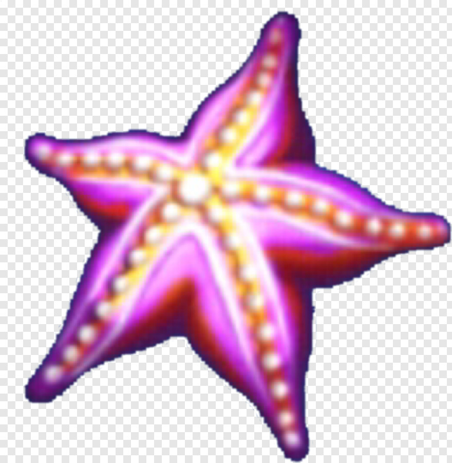 starfish-clipart # 612013