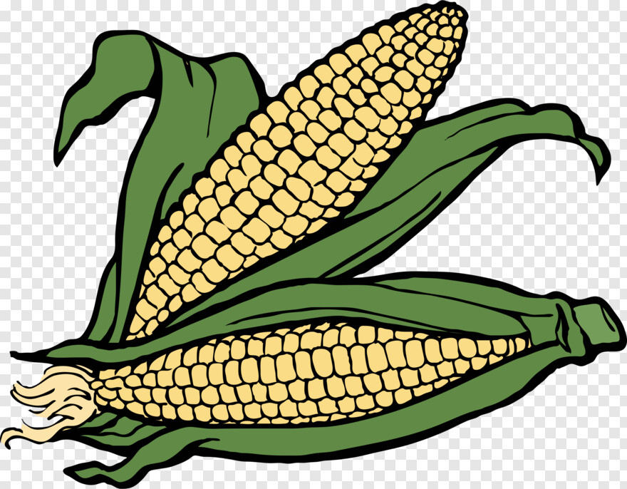 sweet-corn # 956528