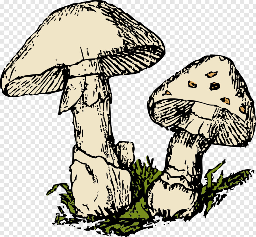 mushroom # 1000088