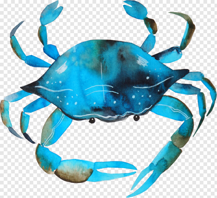 blue-crab # 949010