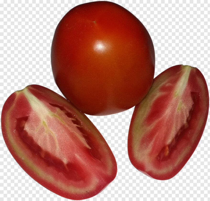 tomato # 650448