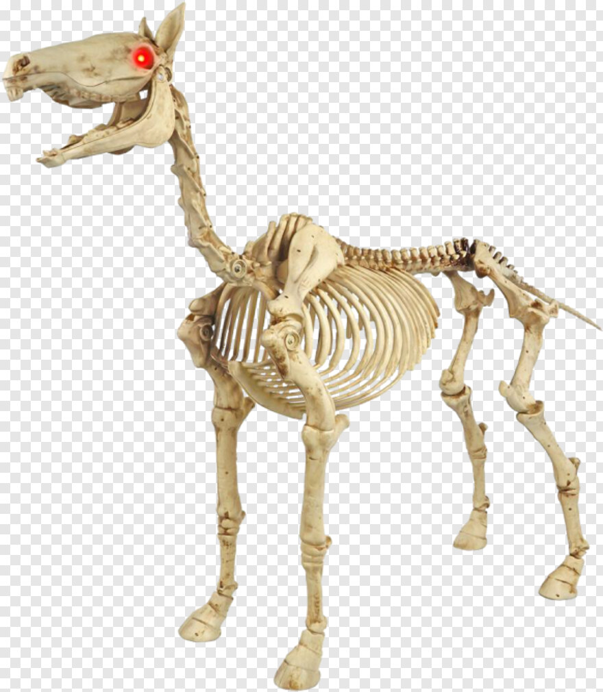 skeleton # 776164