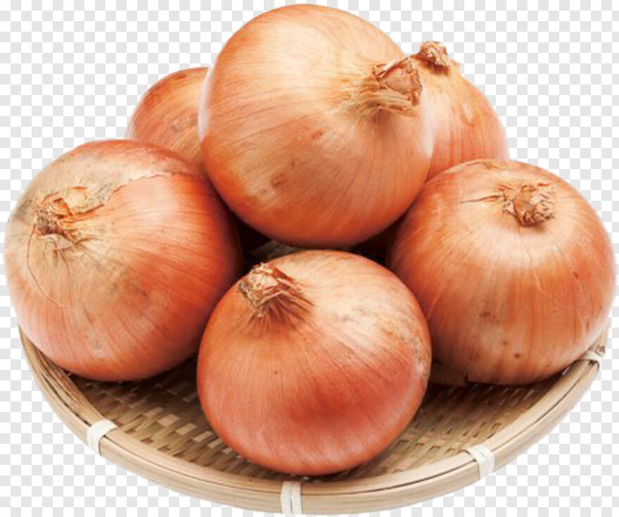 onion # 670304