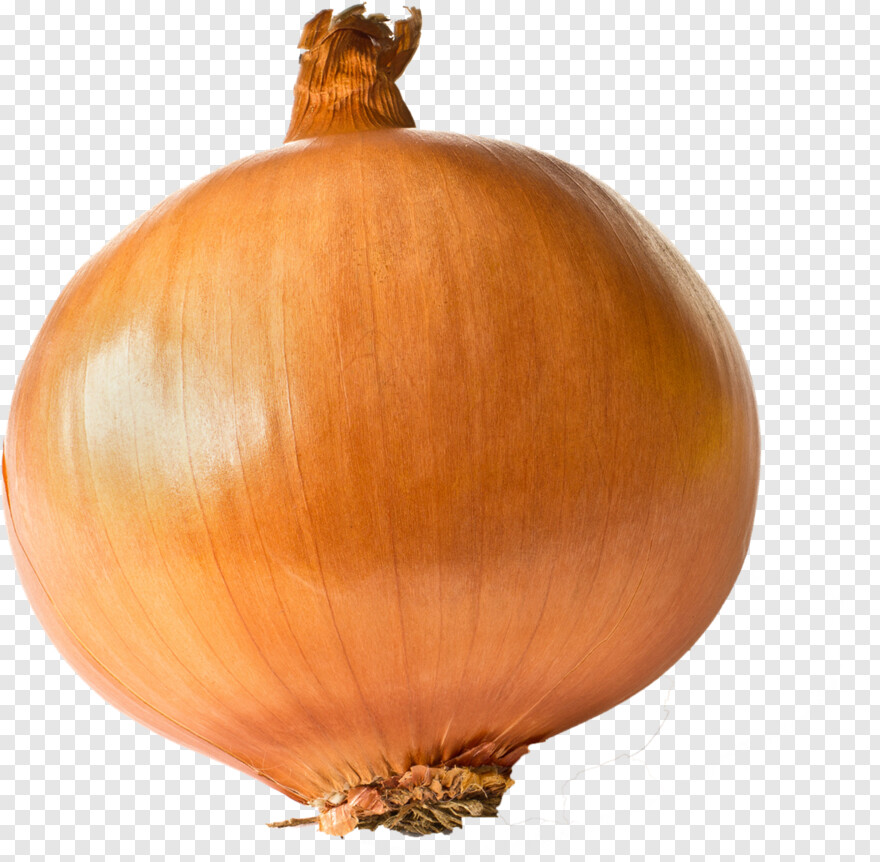 onion # 670360