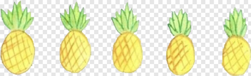 pineapple # 932873