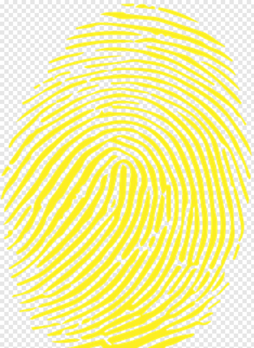 fingerprint # 428271