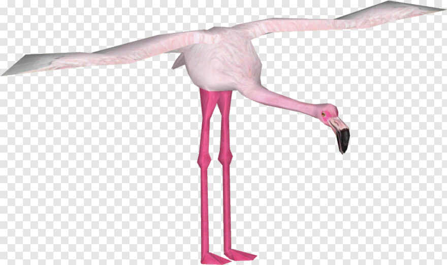 flamingo # 828757