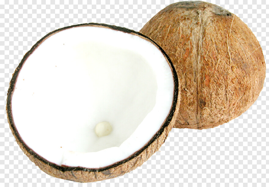 coconut # 990214