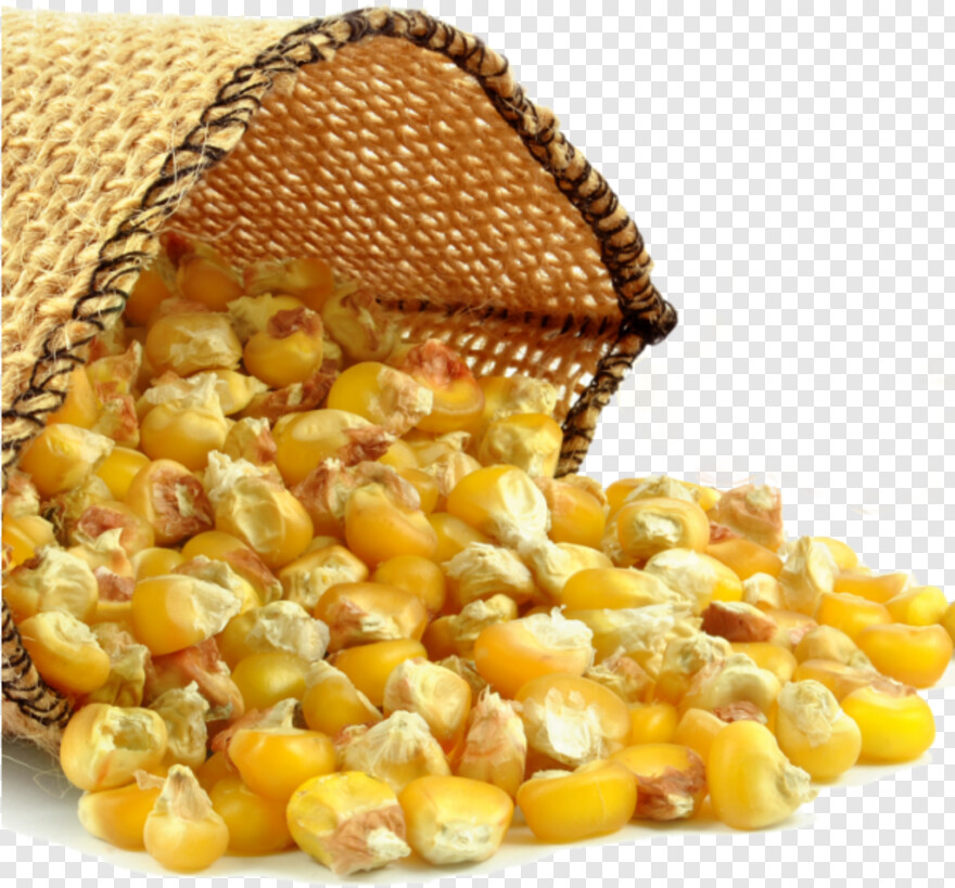 sweet-corn # 956535