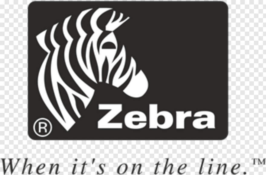 zebra # 604756
