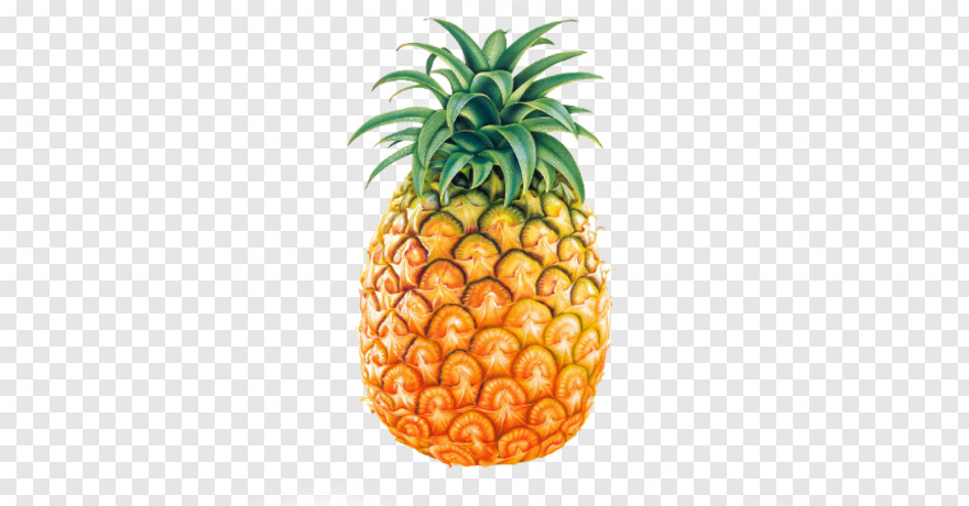pineapple # 1053501