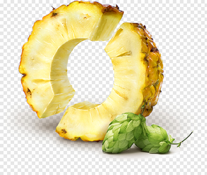 pineapple # 654138