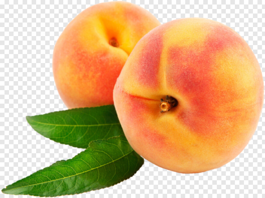 peach # 659777