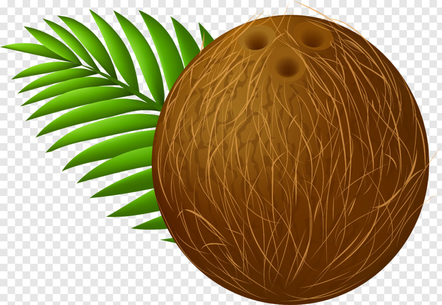 coconut # 990411