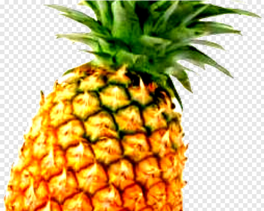 pineapple # 810029