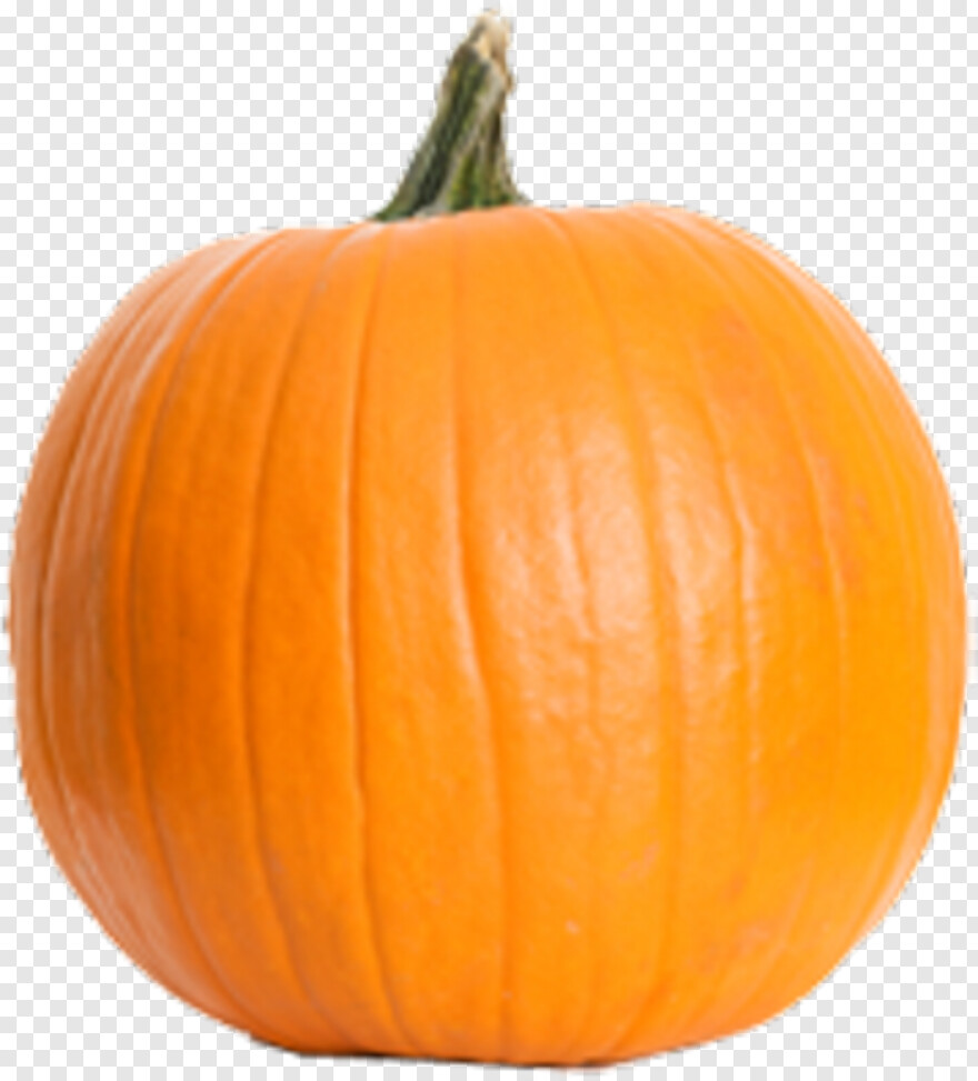 pumpkin # 809767