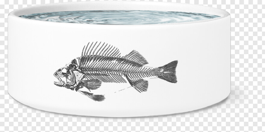 fish-bowl # 333541