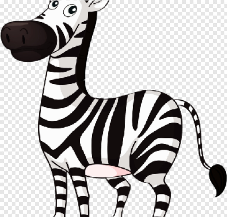 zebra # 999022