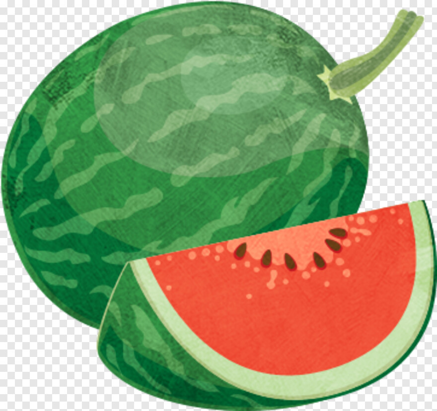 watermelon # 591854