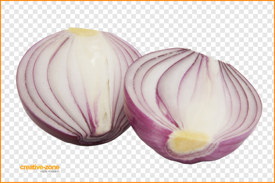onion # 670487