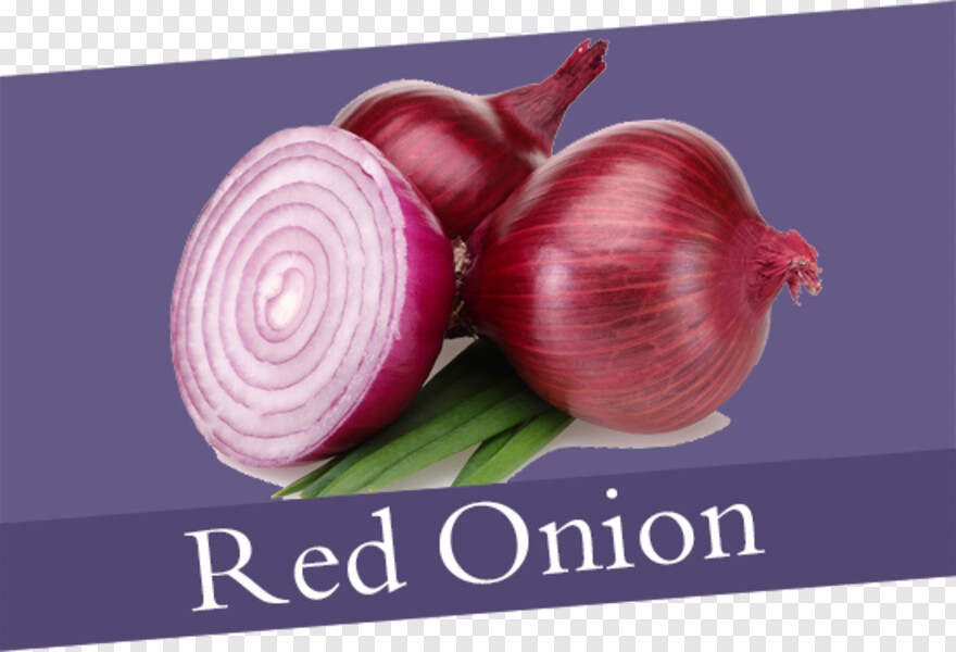 onion # 786859