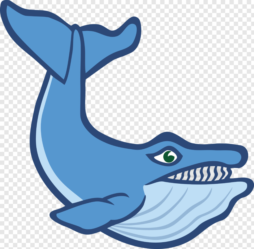 blue-whale # 828277