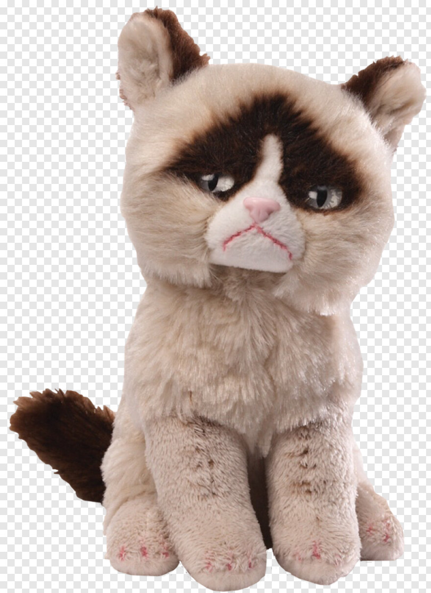 grumpy-cat # 1049717